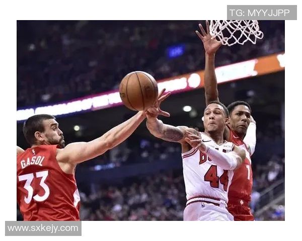 公牛与猛龙历史交锋数据分析及战绩回顾详解 公牛与猛龙历史交锋数据分析及战绩回顾详解