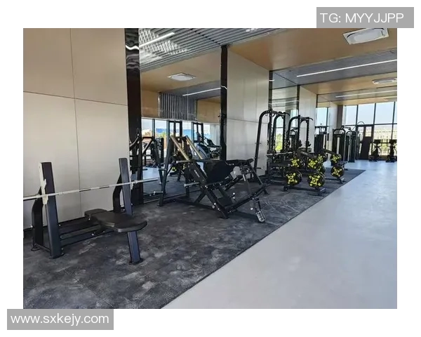 上海乔山健身器材厂引领健身器材行业创新与品质的新时代