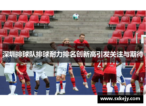 深圳排球队排球耐力排名创新高引发关注与期待