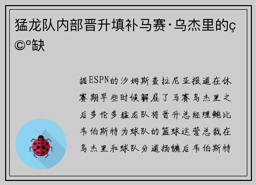 猛龙队内部晋升填补马赛·乌杰里的空缺